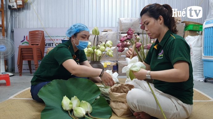 Bản tin kinh tế 4/6: Thiết lập, nâng tầm giá trị cho sen Huế