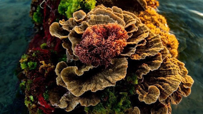 Culture and Tourism news bulletin No. 108