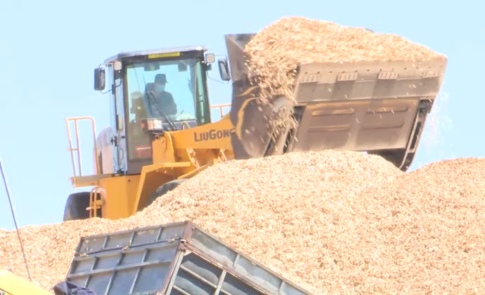 Giảm áp lực để doanh nghiệp phục hồi sản xuất