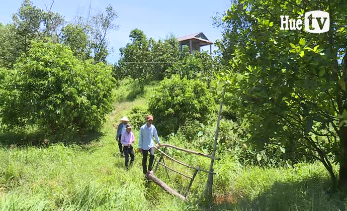 Lập nghiệp trên vùng đất khó