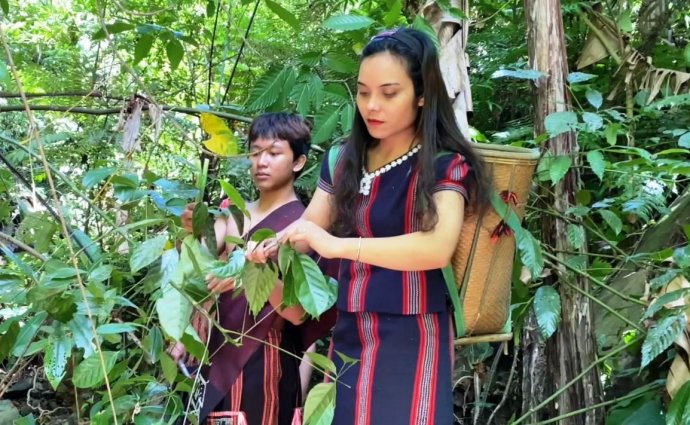 Tour hái rau rừng vùng cao