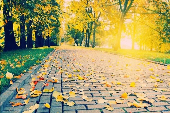 Culture and Tourism news bulletin No. 115