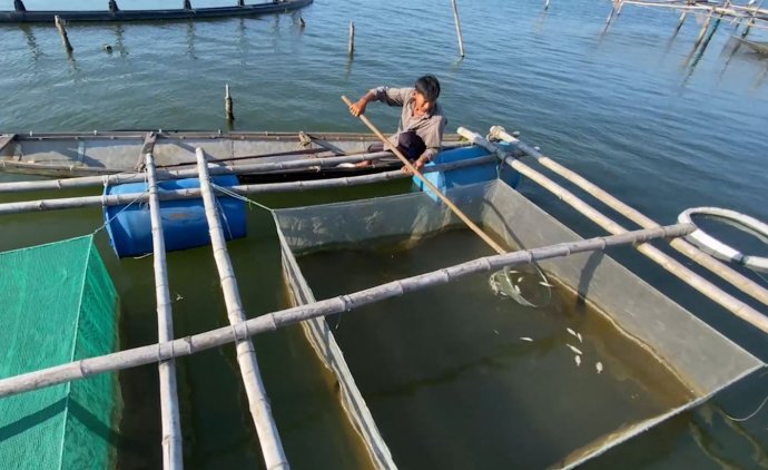 Áp lực trong nuôi trồng thủy sản đầm phá