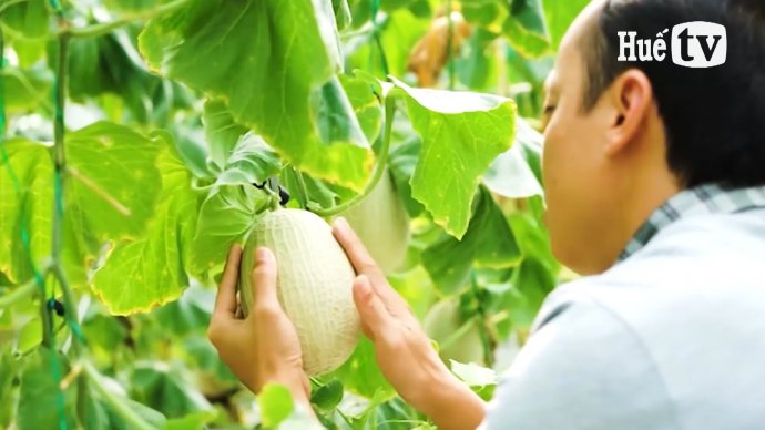 Nông nghiệp tuần hoàn: Hướng đi bền vững