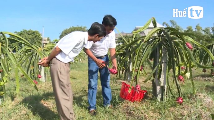 Bản tin kinh tế 3/9: Nông nghiệp tuần hoàn, hướng đi bền vững