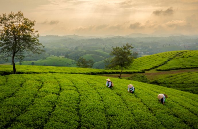 Culture and Tourism news bulletin No. 122