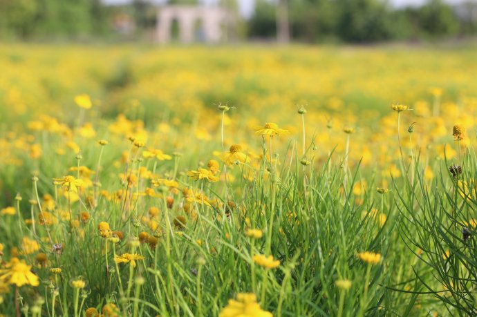 Bản tin Văn hóa - Du lịch ngày 20/10