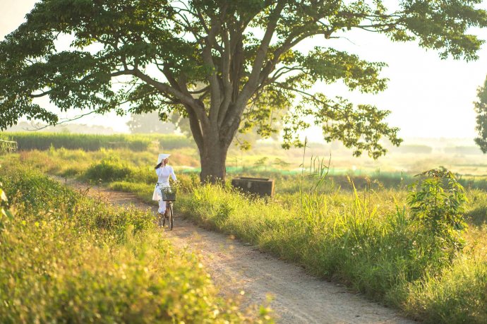 Bản tin Văn hóa - Du lịch ngày 27/10