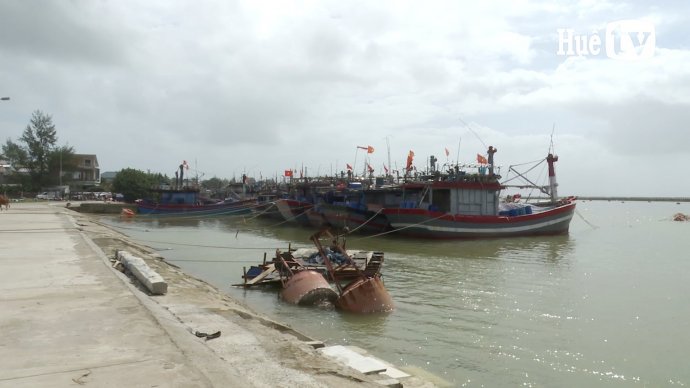 Hoàn thiện hạ tầng hậu cần nghề cá