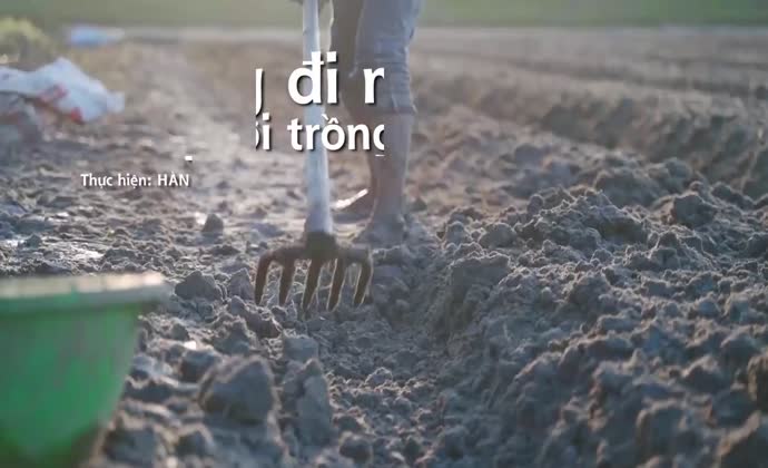 Hướng đi mới cho người trồng lạc