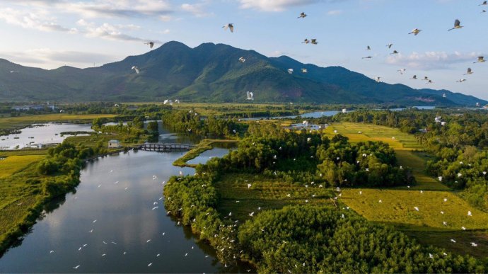 Where there is good land, there are birds residing