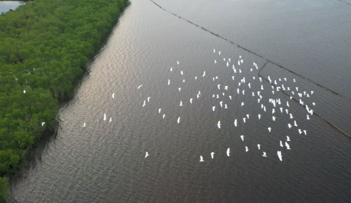 Đất lành cho chim trời