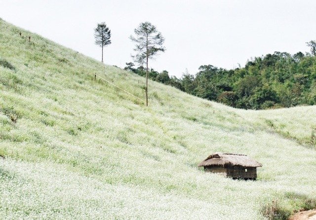 Bản tin Văn hóa - Du lịch ngày 01/12