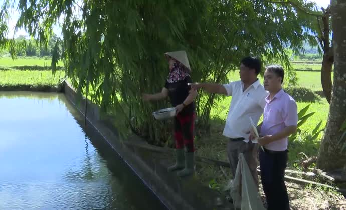 Cùng đồng bào A Lưới phát triển kinh tế