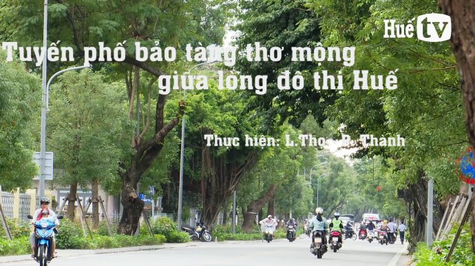 Tuyến phố bảo tàng thơ mộng giữa lòng đô thị Huế