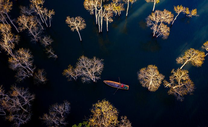 Bản tin Văn hóa - Du lịch ngày 8/12