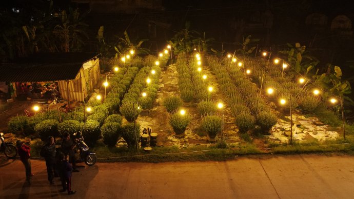 Flower village of Tien Non in preparation for Tet holiday