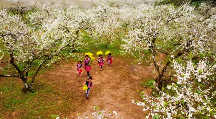 Na Ka plum blossom valley