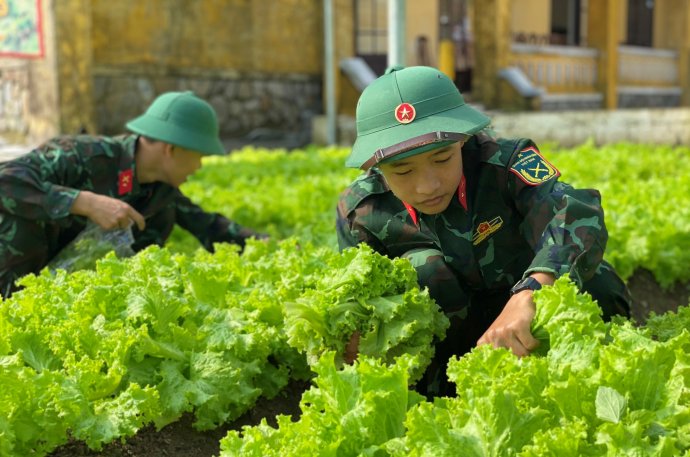 Để tân binh hòa nhập môi trường mới