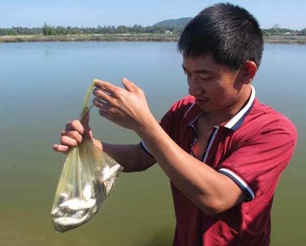 Cứu tinh của cá hiếm