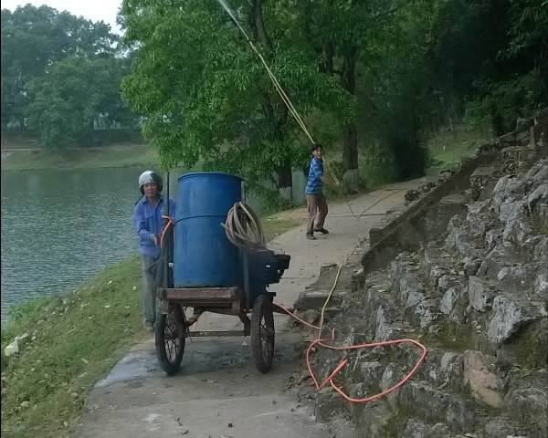 Nhọc nhằn nghề bảo vệ cây xanh di tích