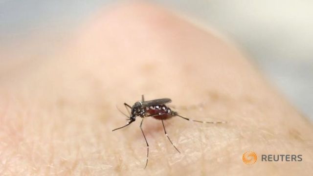 Colombia Hơn 2 100 phụ nữ mang thai nhiễm virus Zika