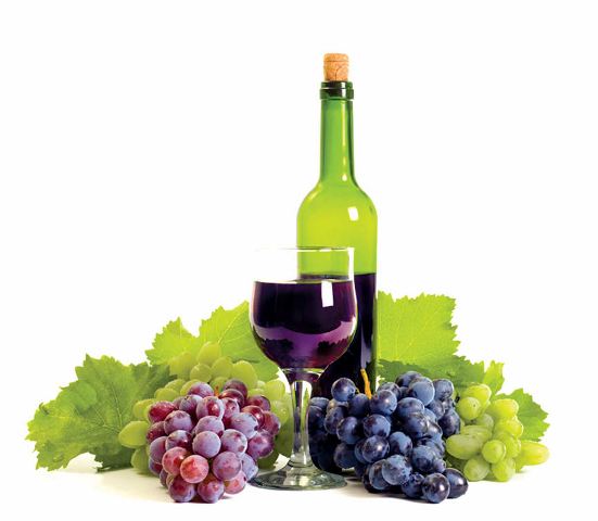 Giữ cho trí nhớ mãi còn xuân