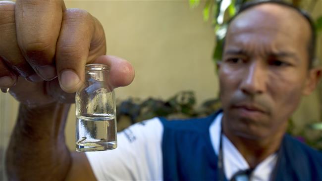 Châu Mỹ cần 8,5 triệu USD đối phó với Zika