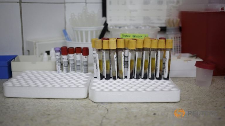 WHO khuyến cáo không tiếp nhận hiến máu ở những người trở về từ các khu vực nhiễm Zika