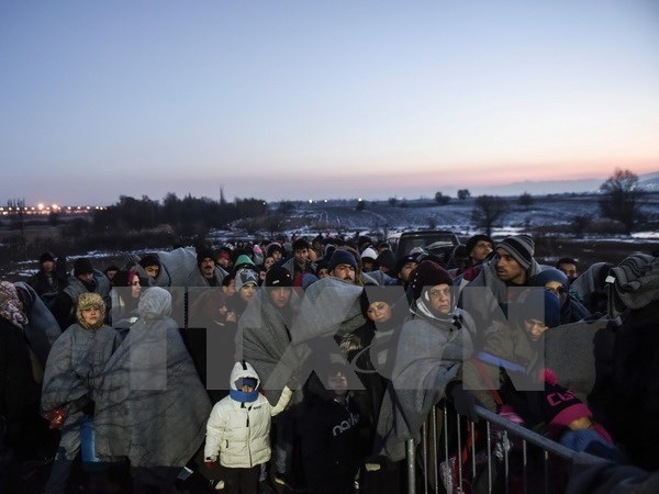 Tình báo Đức Tổ chức IS cấy người vào làn sóng di cư