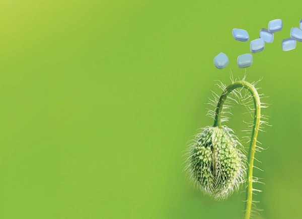 Các đấng mày râu hãy cảnh giác