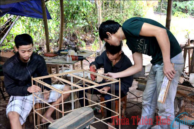 “Phú” lồng chim