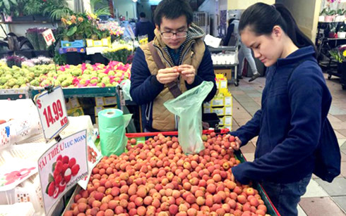 Trông mong gì từ các tham tán thương mại Việt Nam