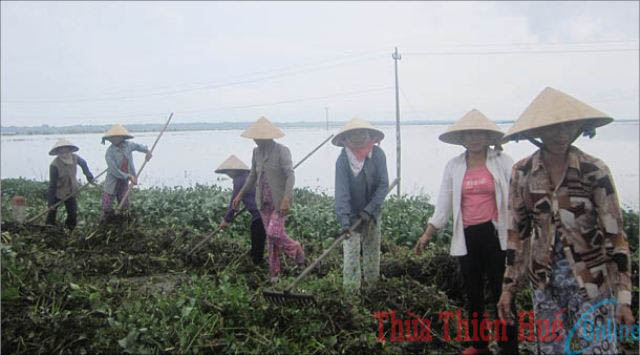 Chủ động phân loại rác thải