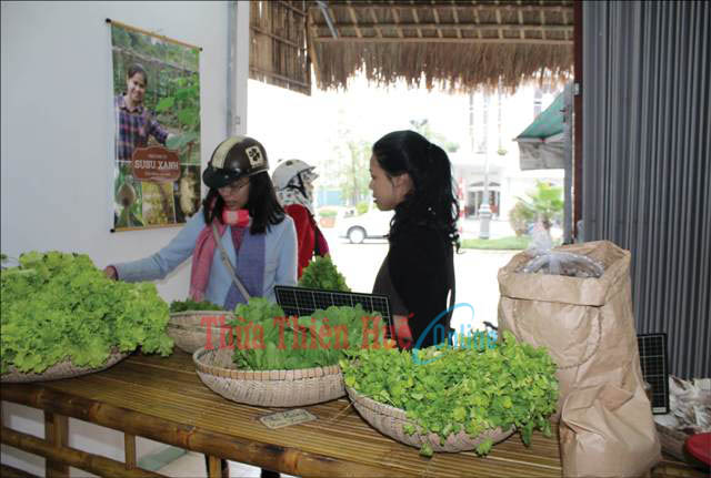 Susu Xanh - Điểm cung cấp rau sạch cho các bà nội trợ