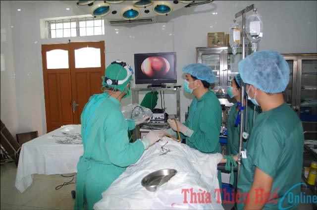 Vững vàng trong gian khó