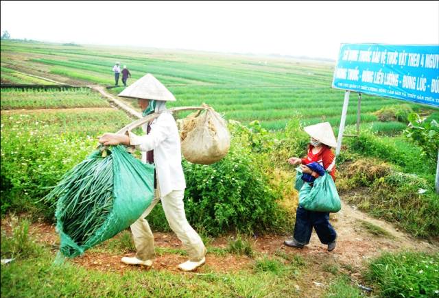 Hương An đưa quy chế dân chủ vào cuộc sống