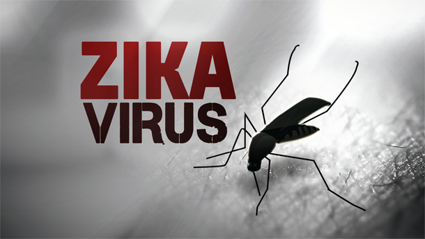 WHO Virus Zika đã lan rộng đến 55 quốc gia trên thế giới