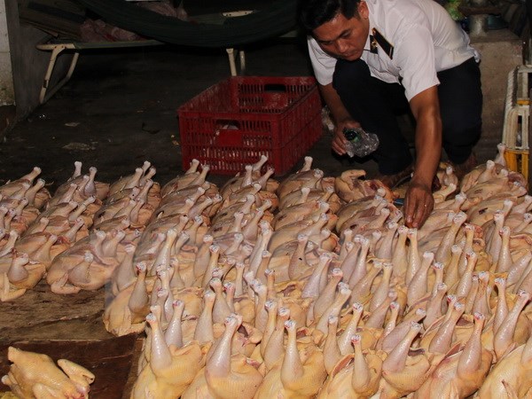 Tăng cường phòng chống ngộ độc thực phẩm trong mùa Hè