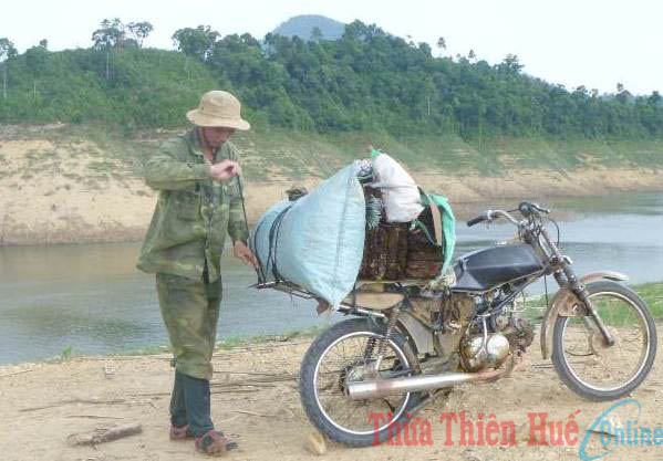 Săn dương xỉ