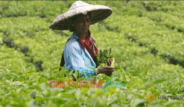 WB Nghèo đói, tảo hôn, bạo lực giảm khi phụ nữ sở hữu đất đai