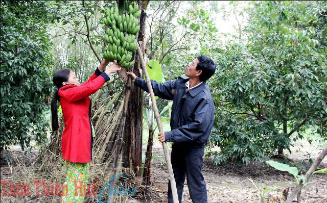 Mang lại niềm vui cho nhau