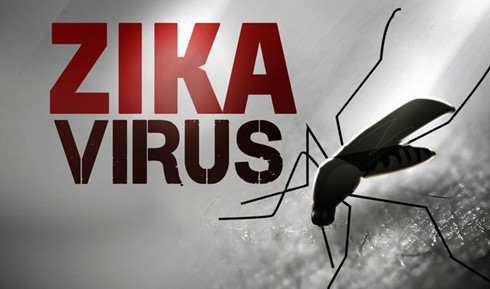 Bộ Y tế chỉ đạo tổ chức chiến dịch phòng chống Zika và sốt xuất huyết