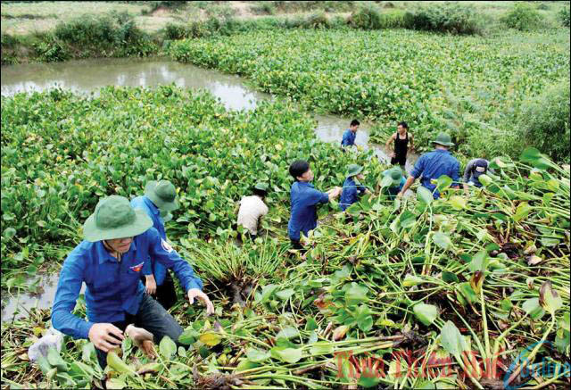 Người trẻ và những việc làm thiết thực