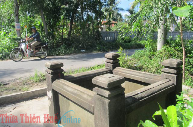 Hiểu để bảo tồn tốt hơn