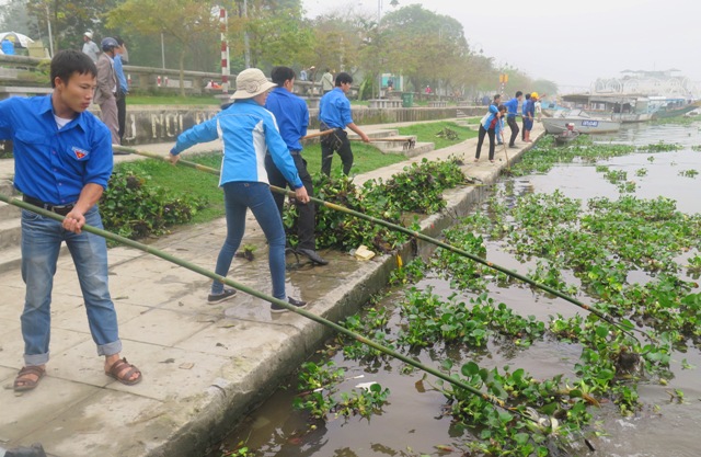 850 cán bộ, ĐVTN ra quân xử lý bèo tây trên sông Hương