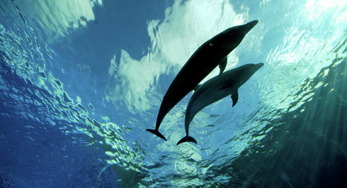 Phát hiện một đại dương ngầm khổng lồ