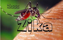 Những triệu chứng phát hiện nhiễm virus ZIKA