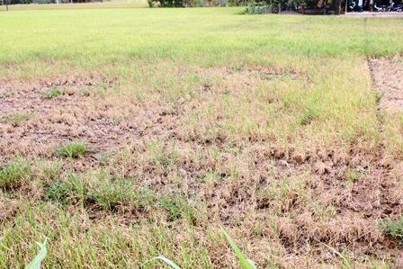 Chính phủ xin bố trí gần 100 000 tỷ đồng chống hạn hán