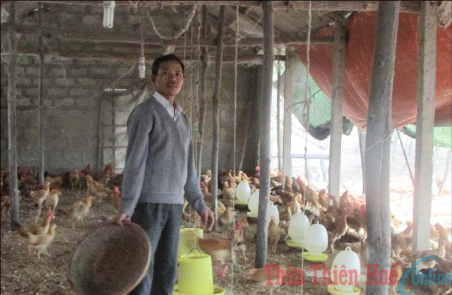 Thu tiền tỷ từ chăn nuôi